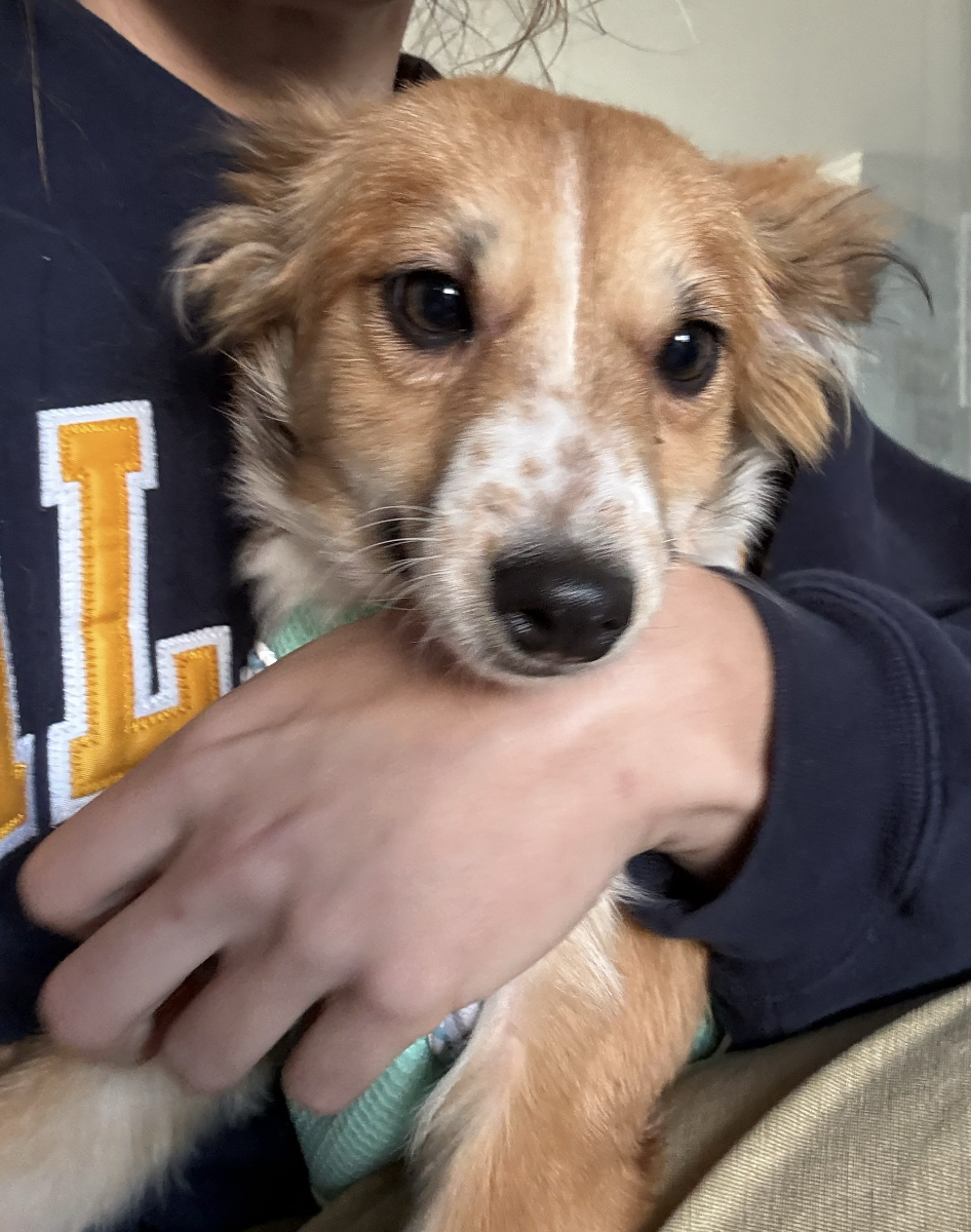 Screenshot 2026-02-13 at 10.52.38 PM.png