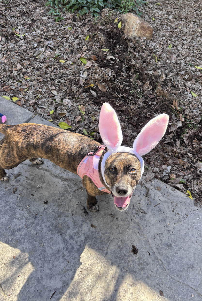 Screenshot 2026-03-03 at 10.17.11 AM.png