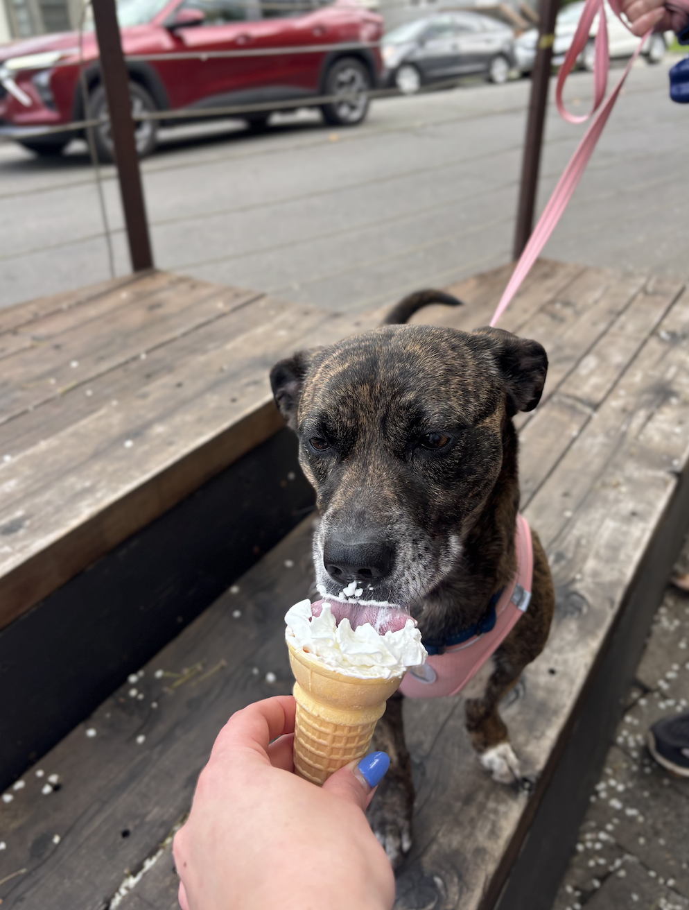 Screenshot 2026-03-03 at 10.17.26 AM.png