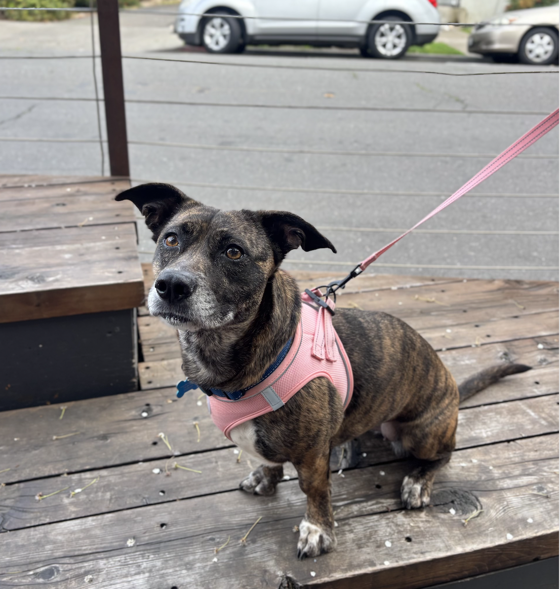 Screenshot 2026-03-03 at 10.17.35 AM.png