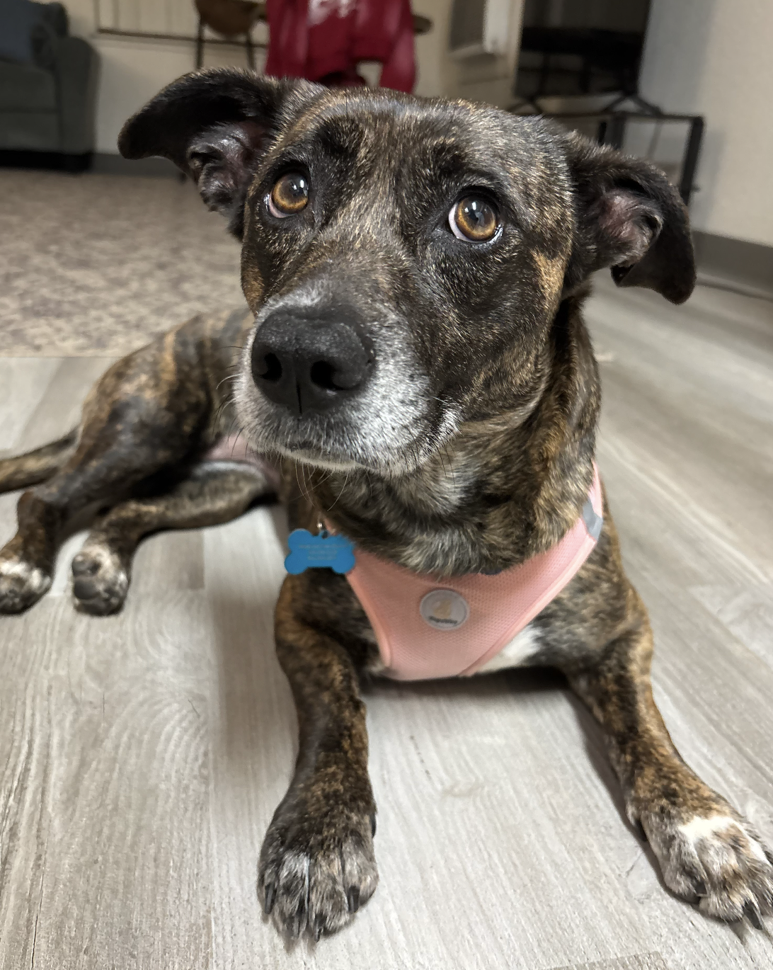 Screenshot 2026-03-03 at 10.17.04 AM.png