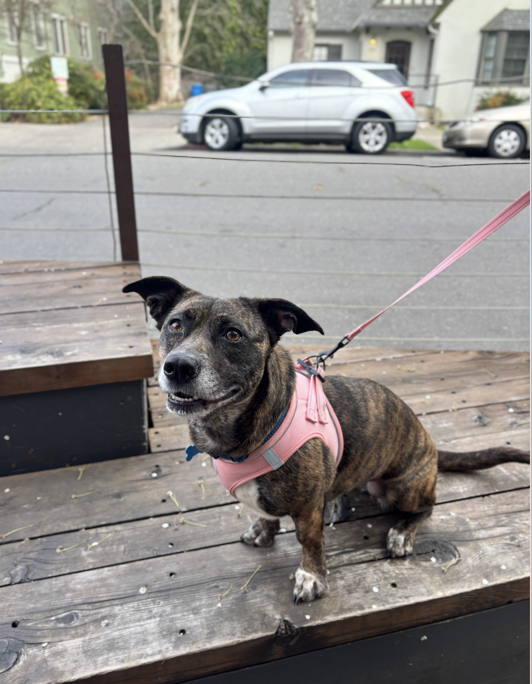 Screenshot 2026-03-03 at 10.17.31 AM.png