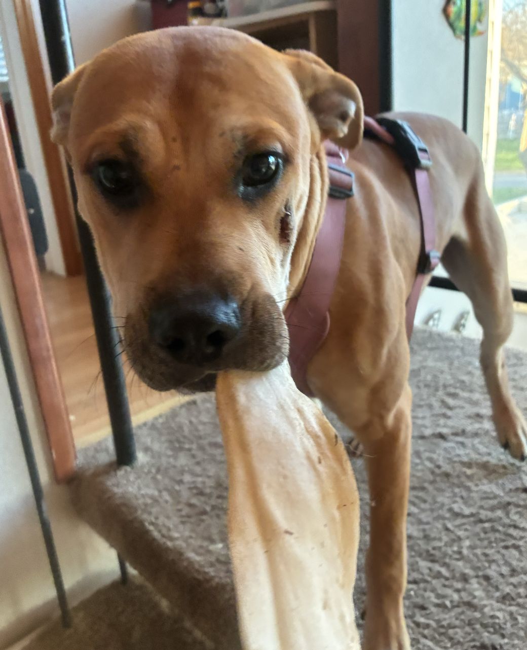 Screenshot 2026-03-03 at 6.34.10 AM.png