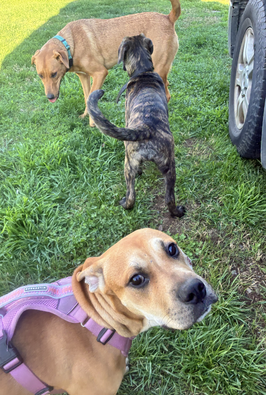 Screenshot 2026-03-03 at 6.25.20 AM.png