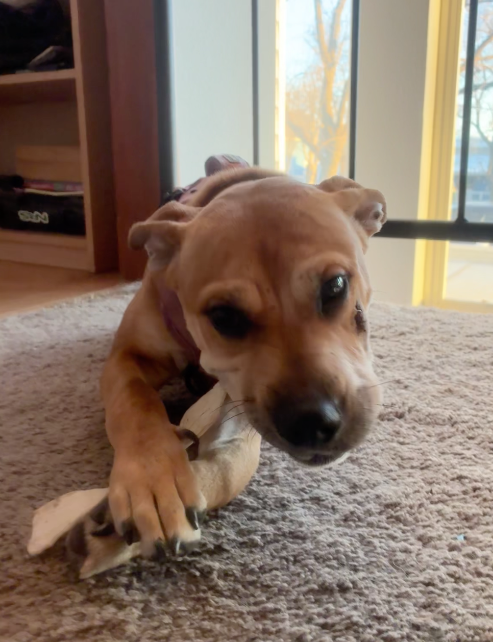 Screenshot 2026-03-03 at 6.33.58 AM.png