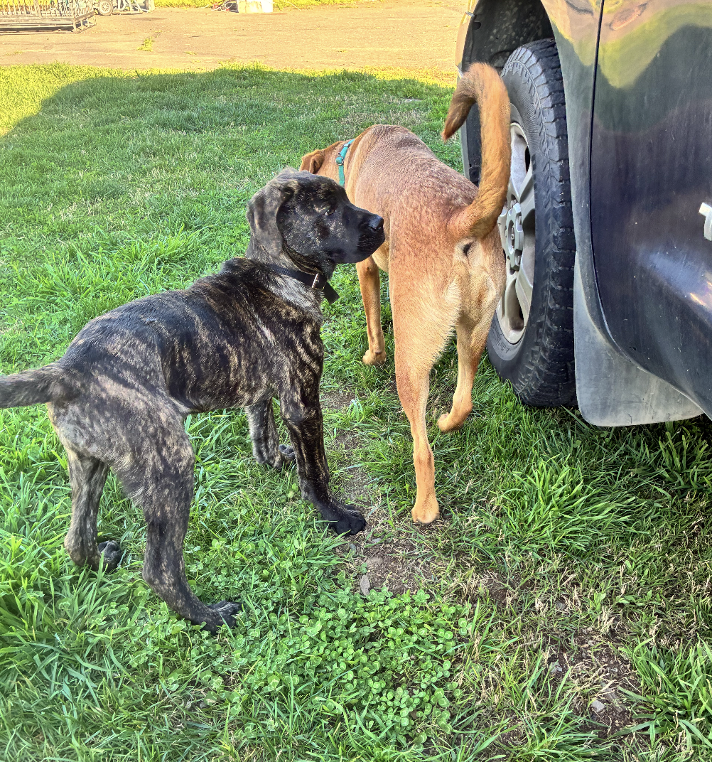 Screenshot 2026-03-03 at 6.35.56 AM.png