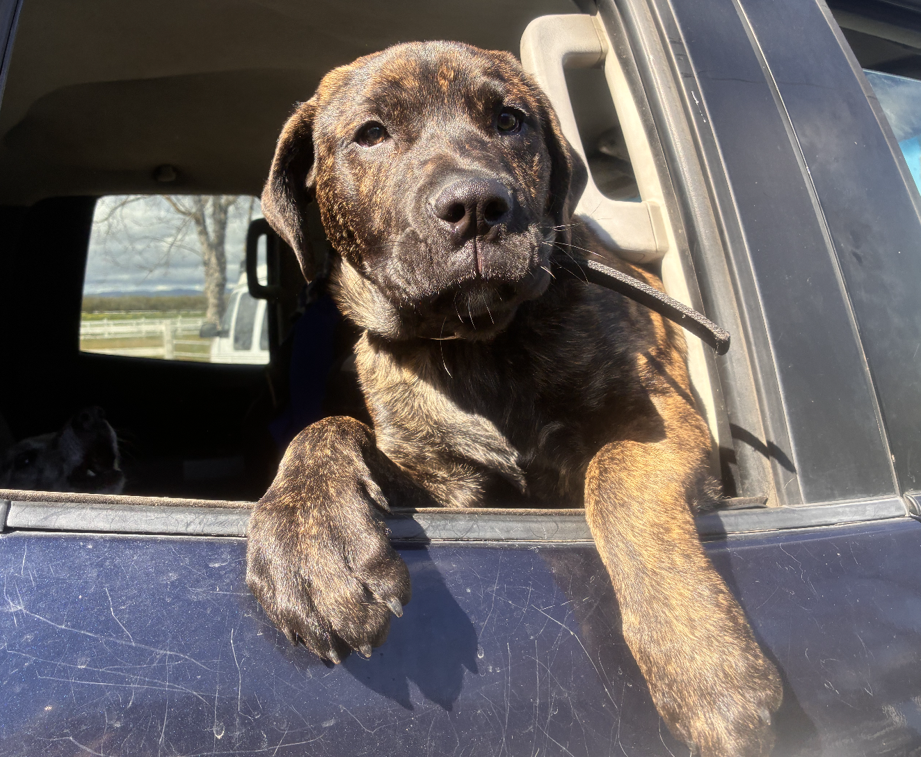 Screenshot 2026-03-03 at 6.36.30 AM.png