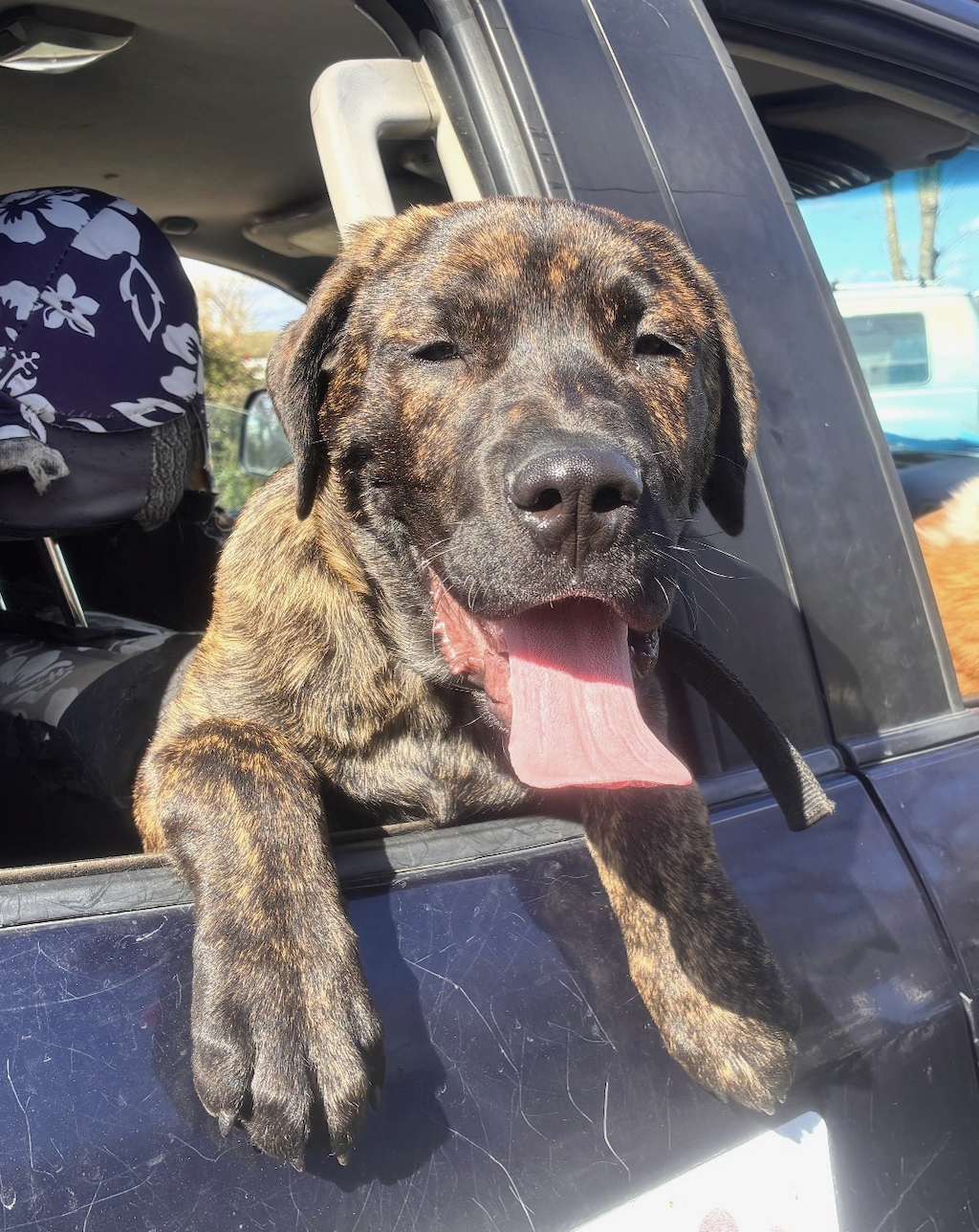 Screenshot 2026-03-03 at 6.35.45 AM.png