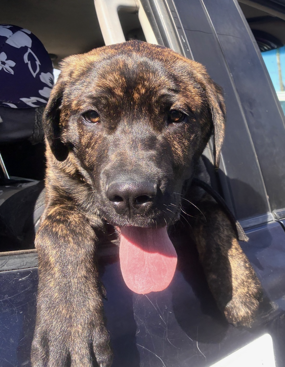 Screenshot 2026-03-03 at 6.35.40 AM.png