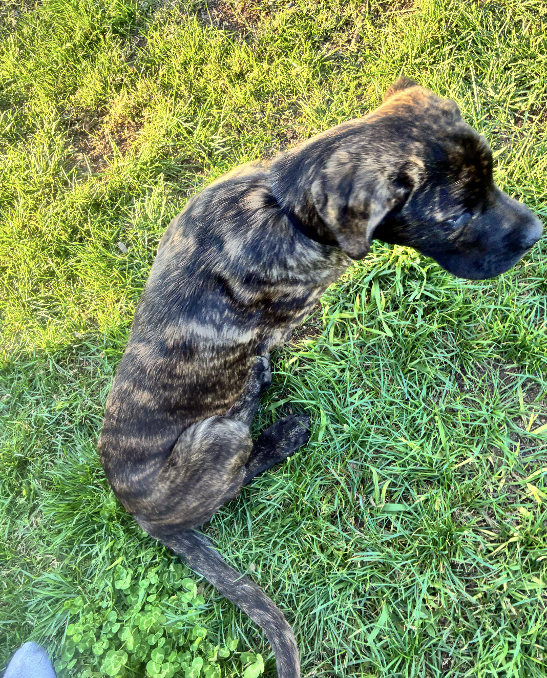 Screenshot 2026-03-03 at 6.36.02 AM.png