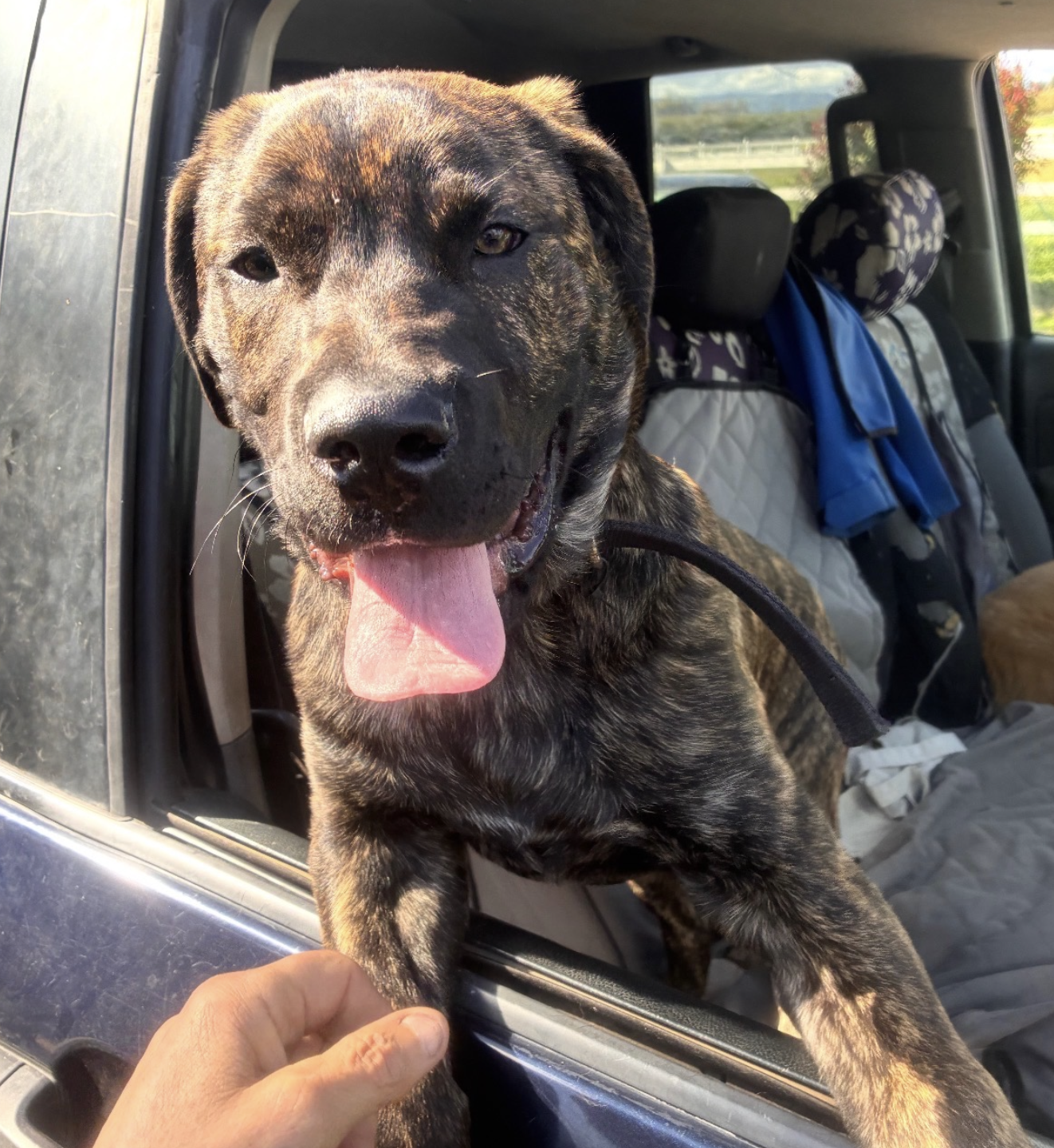 Screenshot 2026-03-03 at 6.35.35 AM.png