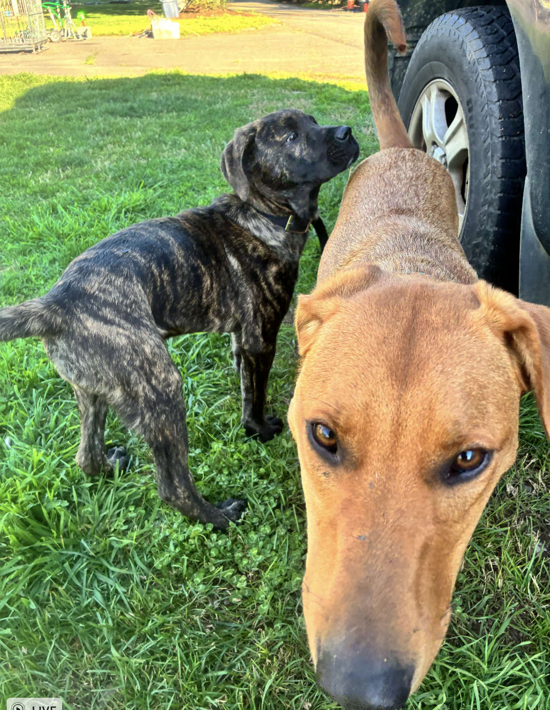 Screenshot 2026-03-03 at 6.36.12 AM.png