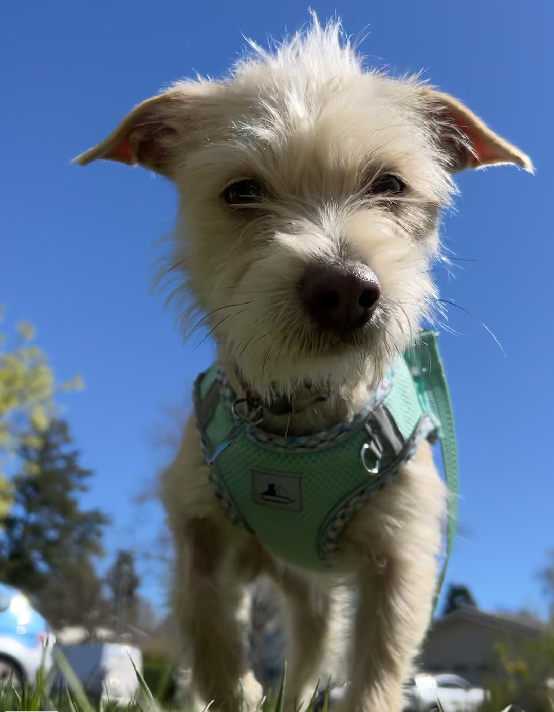 Screenshot 2026-03-07 at 5.50.01 PM.png