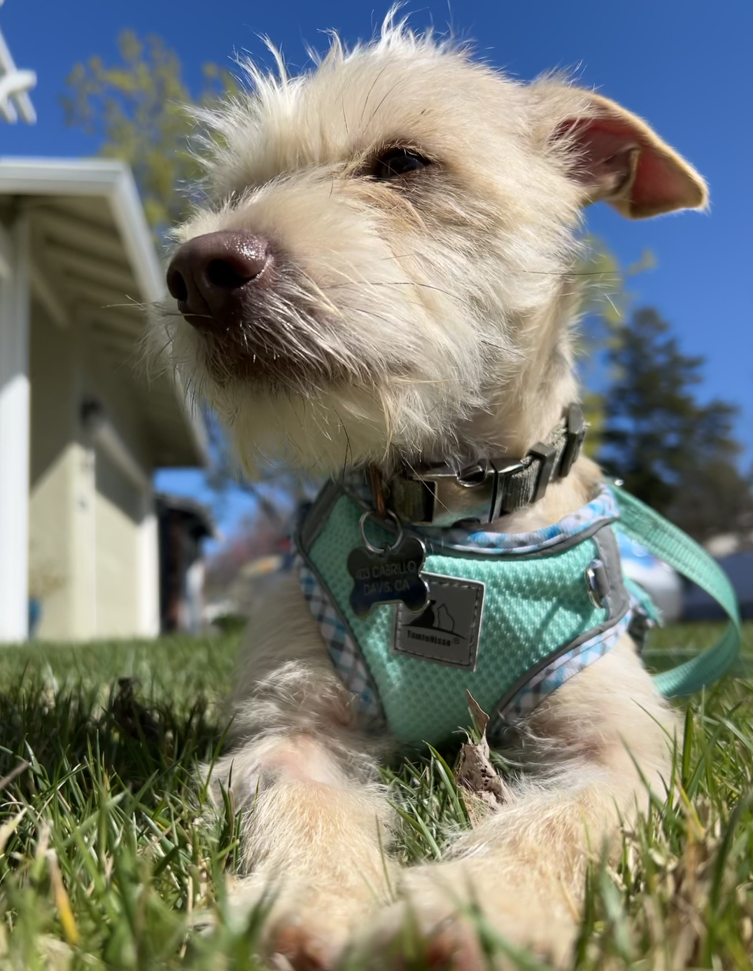 Screenshot 2026-03-07 at 5.49.53 PM.png