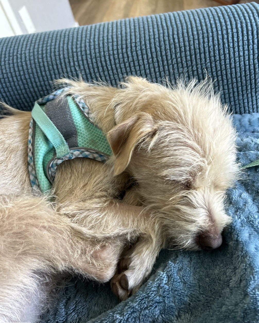 Screenshot 2026-03-07 at 5.49.24 PM.png