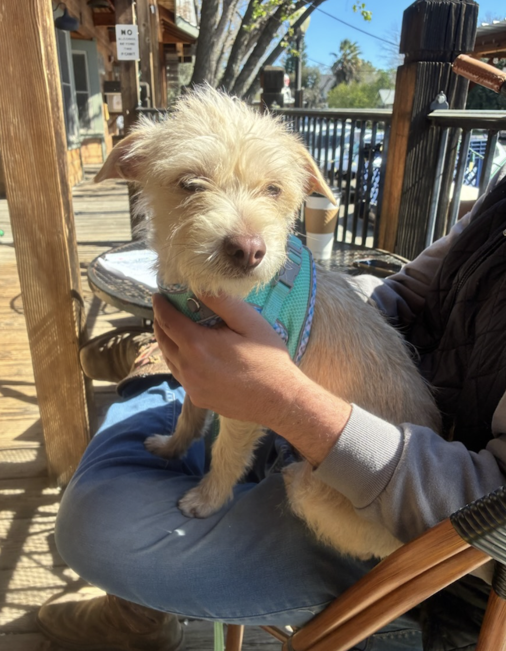 Screenshot 2026-03-07 at 5.49.00 PM.png