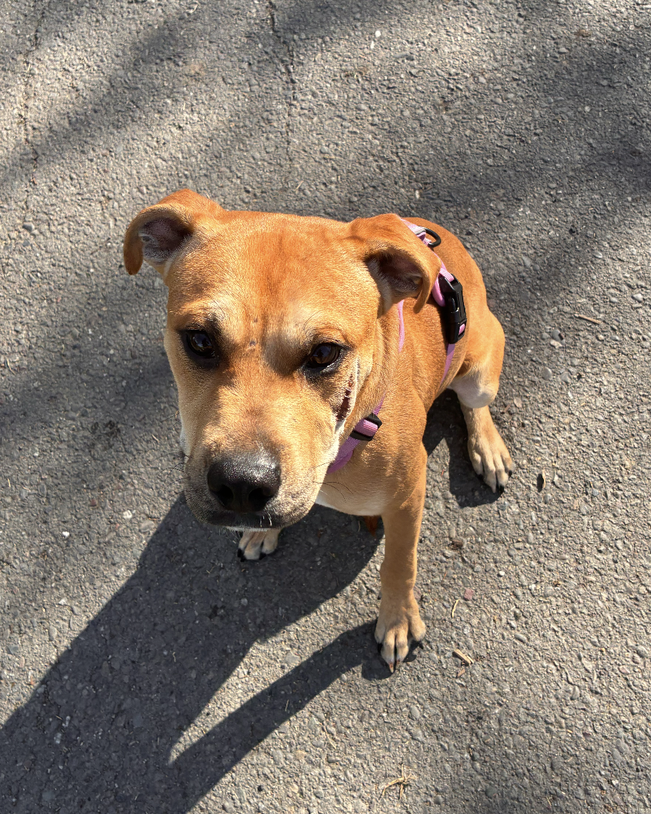 Screenshot 2026-03-07 at 5.49.05 PM.png