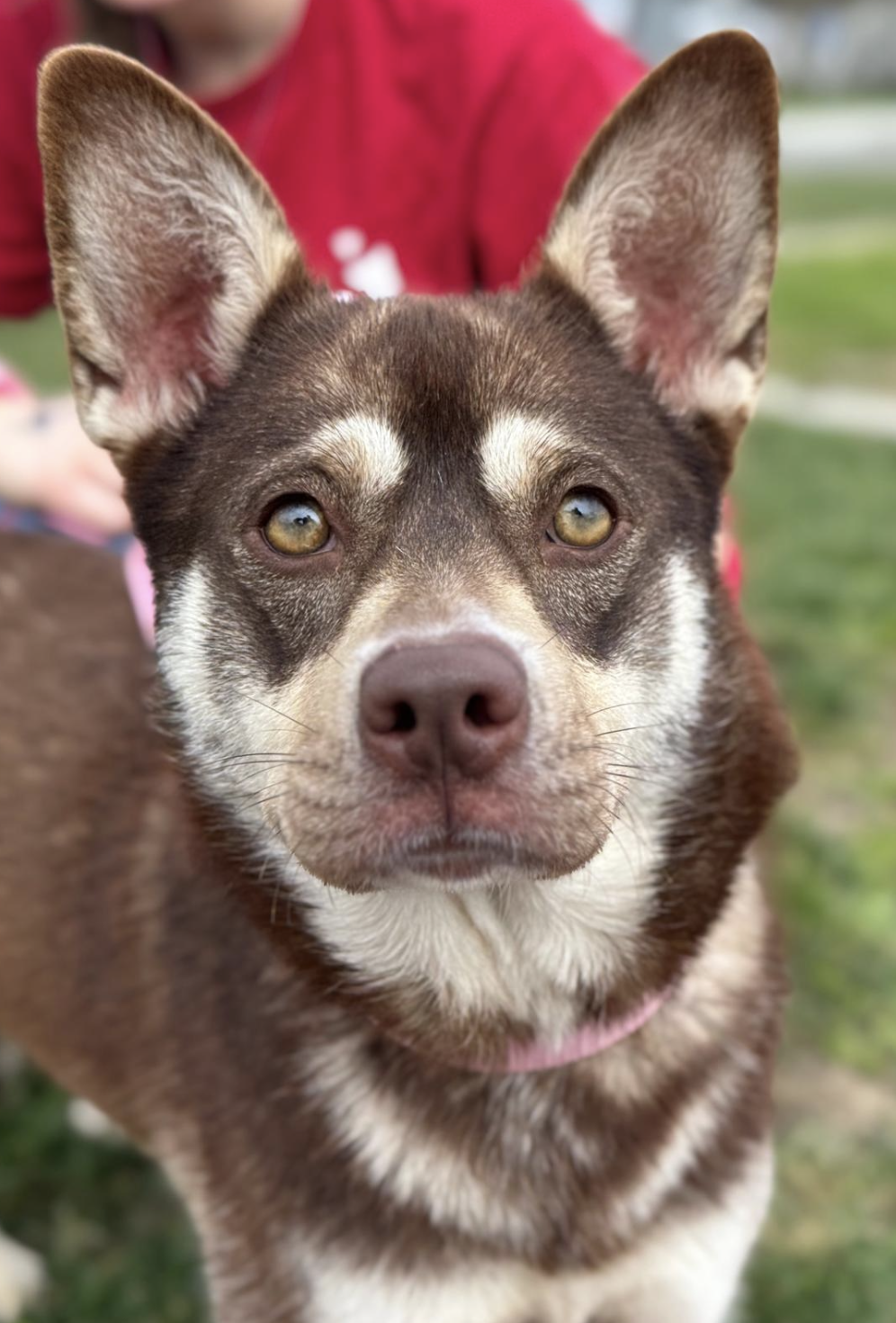 Screenshot 2026-03-08 at 4.57.00 PM.png