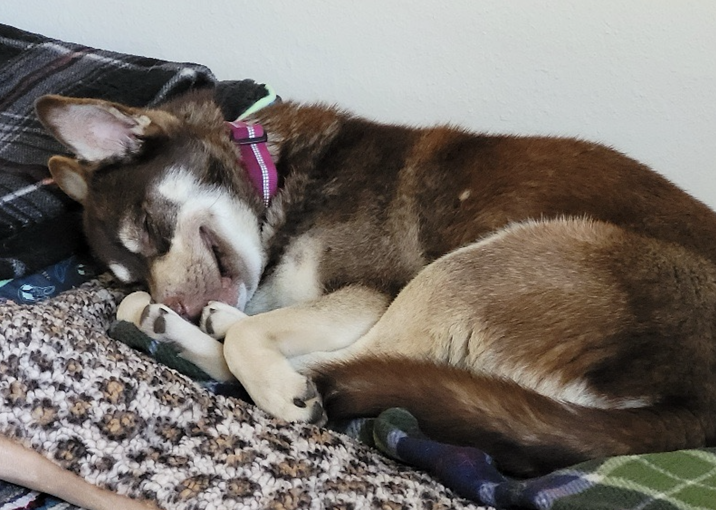 Screenshot 2026-03-07 at 6.20.42 PM.png