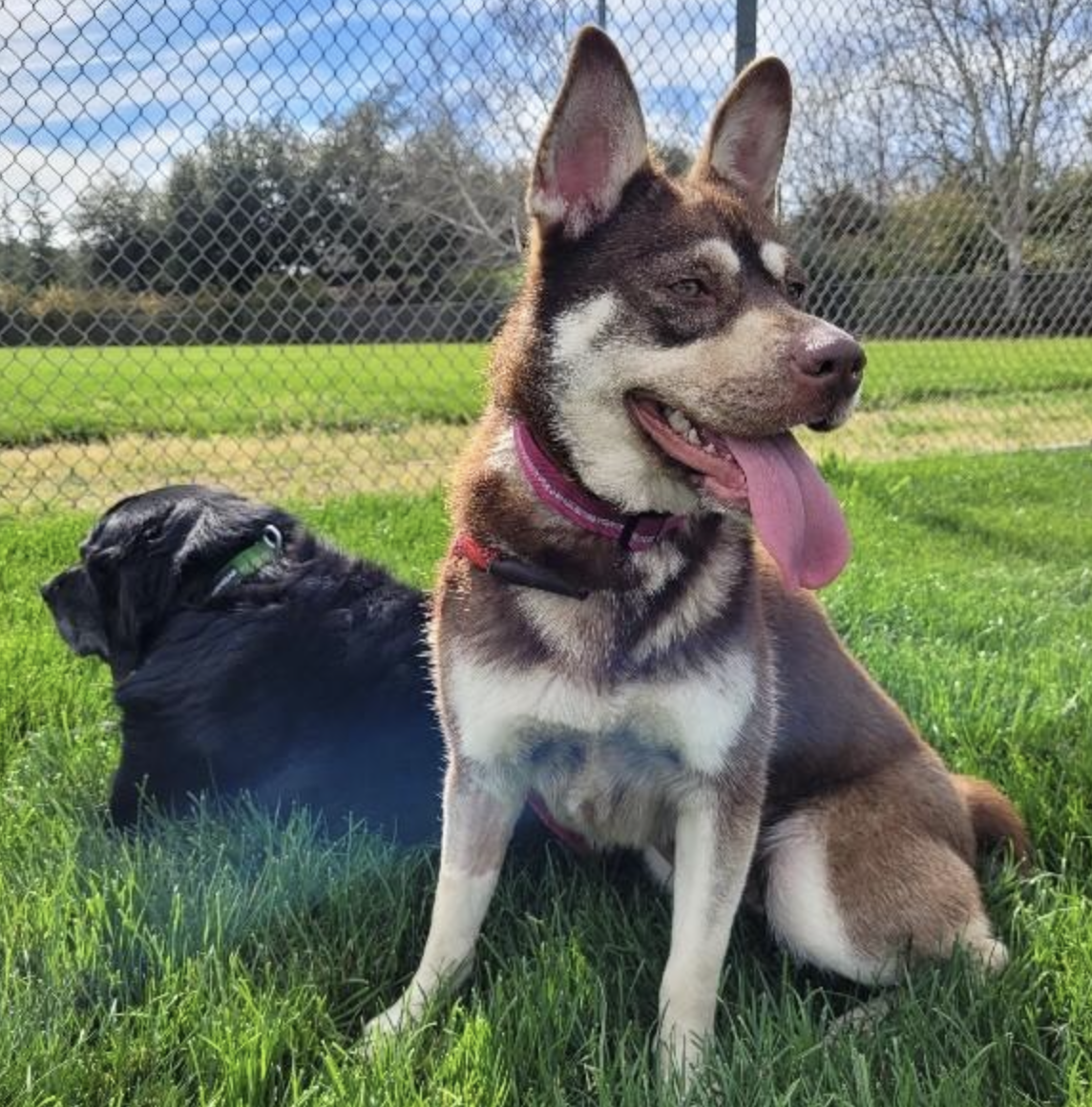 Screenshot 2026-03-09 at 8.33.49 PM.png