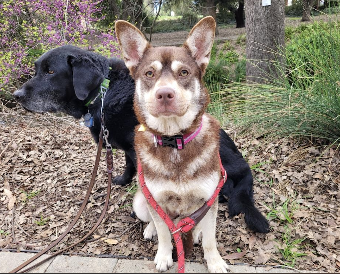 Screenshot 2026-03-09 at 8.33.56 PM.png