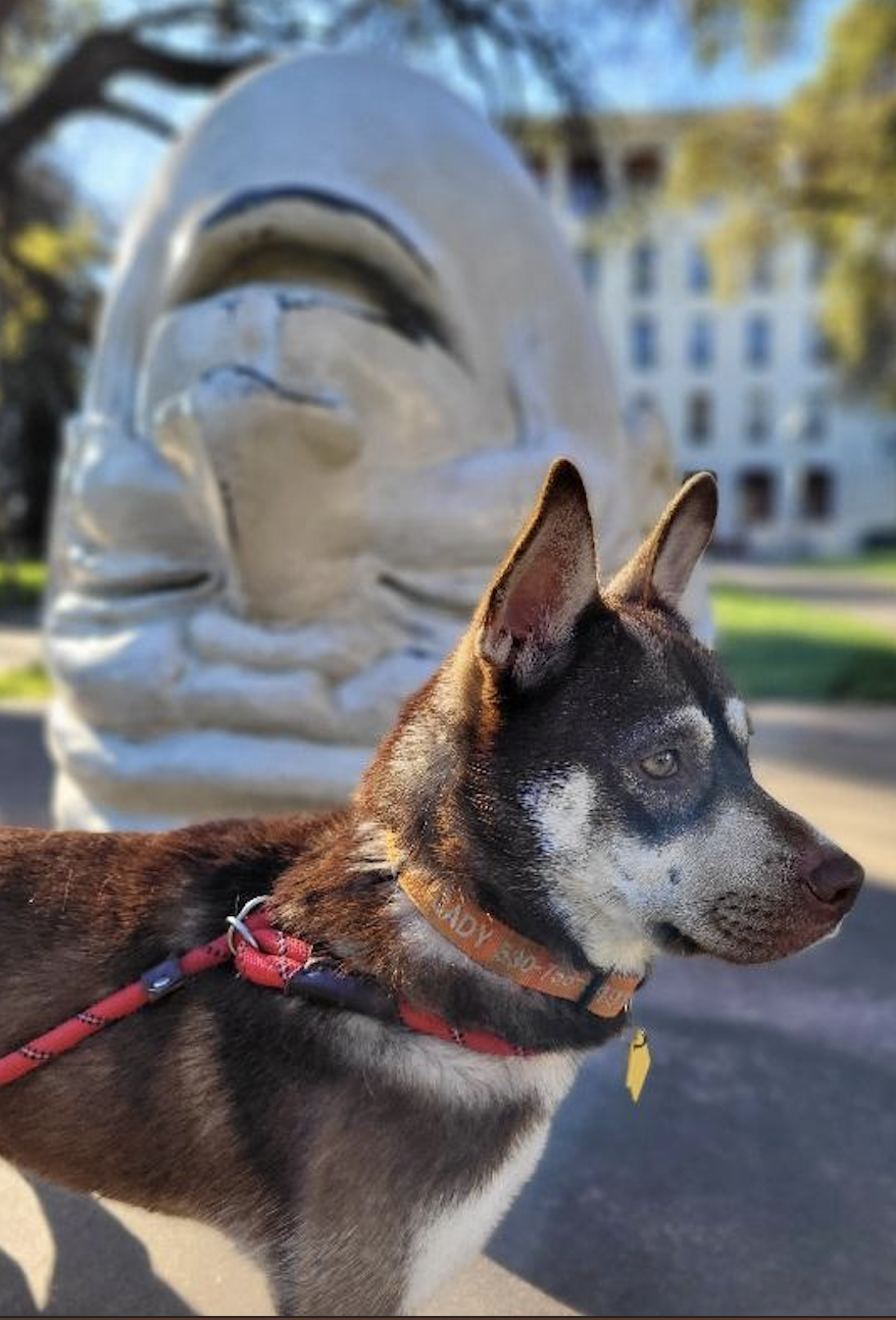 Screenshot 2026-03-09 at 8.34.02 PM.png