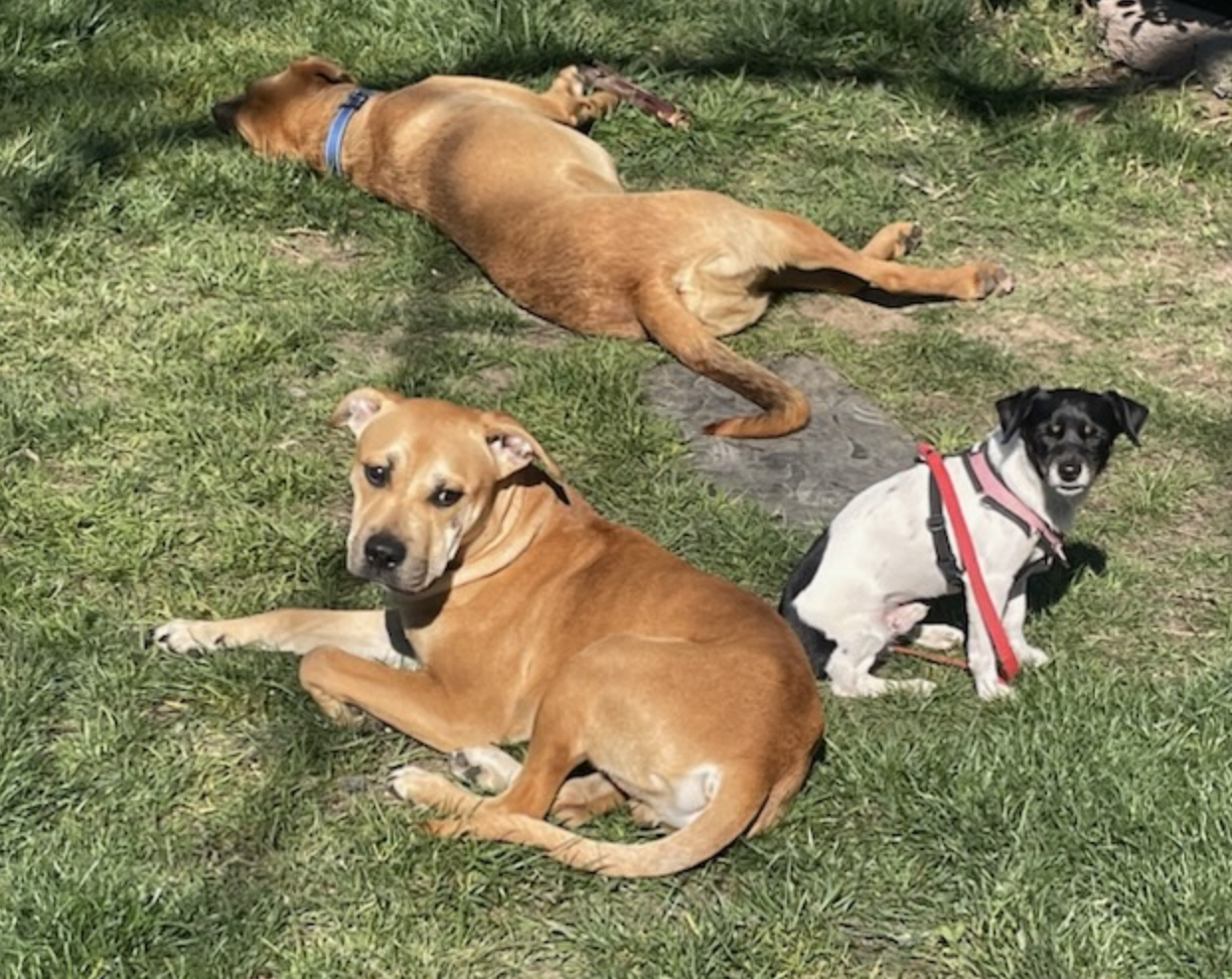 Screenshot 2026-03-12 at 8.40.49 PM.png