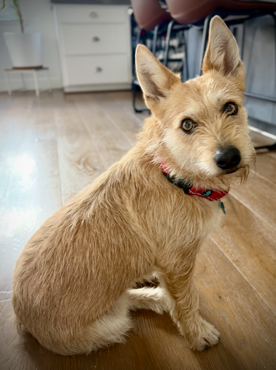 Screenshot 2026-03-12 at 8.43.49 PM.png