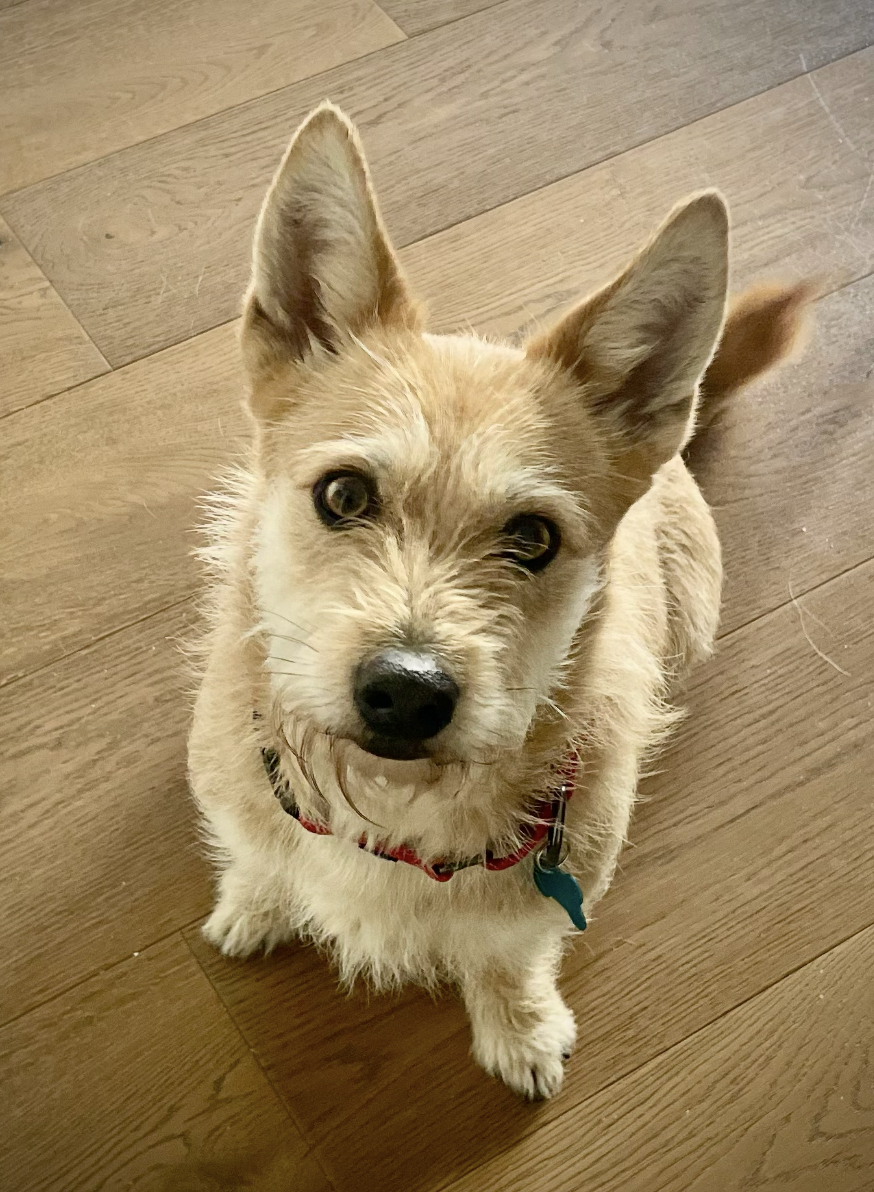 Screenshot 2026-03-12 at 8.43.55 PM.png