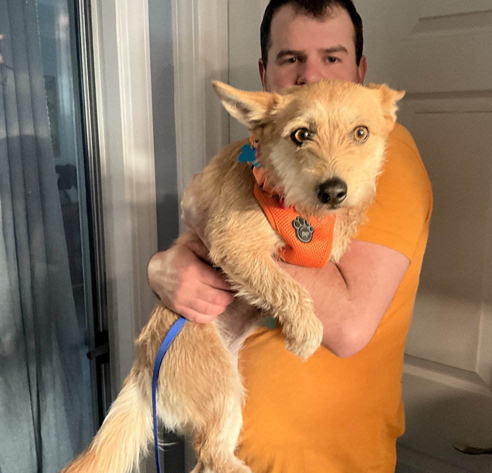 Screenshot 2026-03-12 at 8.44.32 PM.png