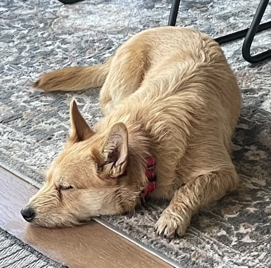 Screenshot 2026-03-12 at 8.44.08 PM.png