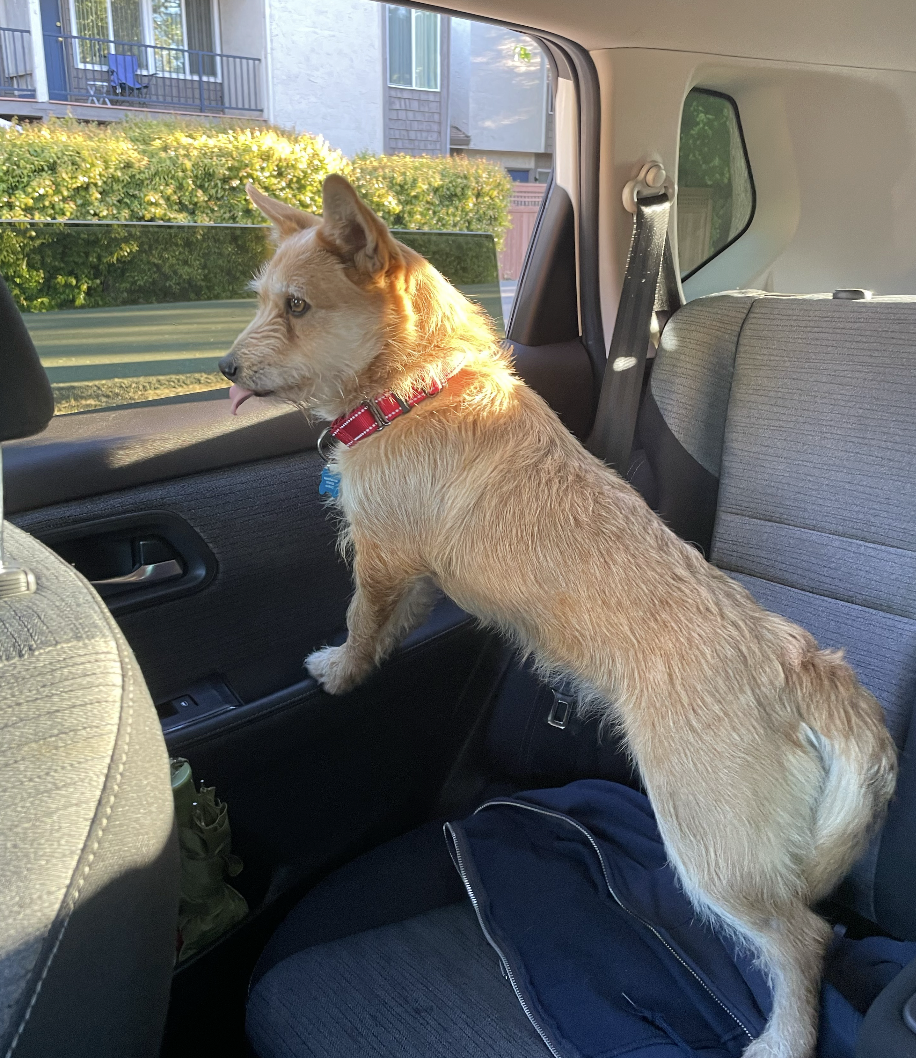 Screenshot 2026-03-12 at 8.44.16 PM.png