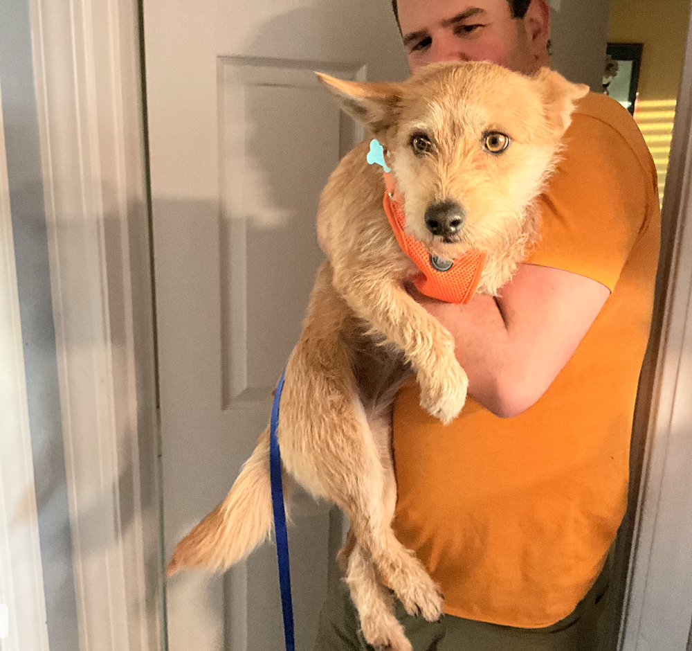 Screenshot 2026-03-12 at 8.44.24 PM.png