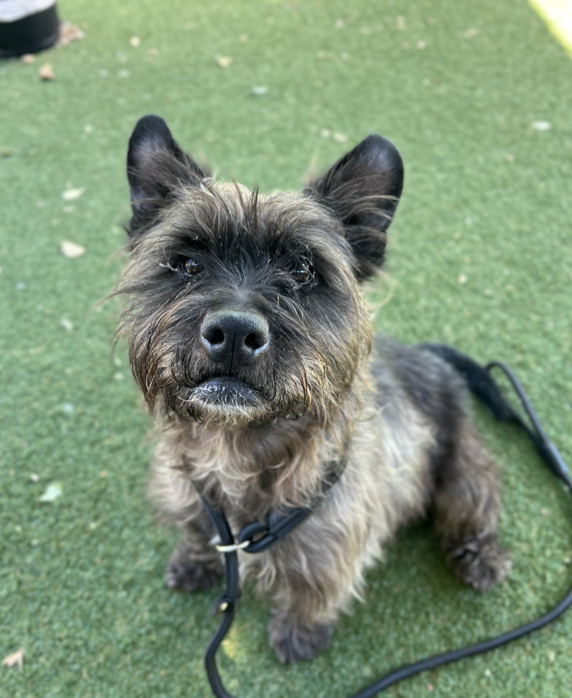 Screenshot 2026-03-12 at 9.34.21 PM.png