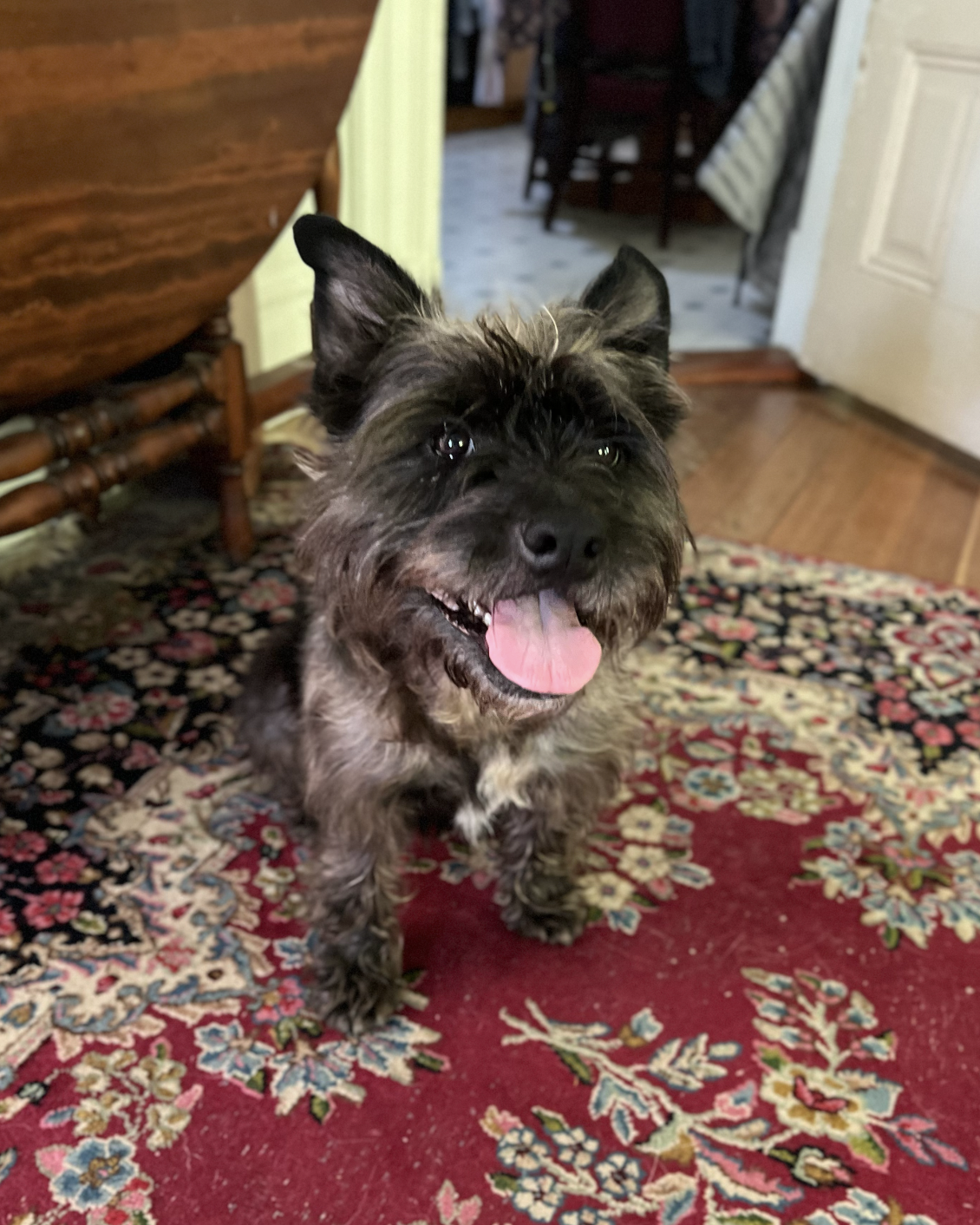 Screenshot 2026-03-12 at 9.34.03 PM.png