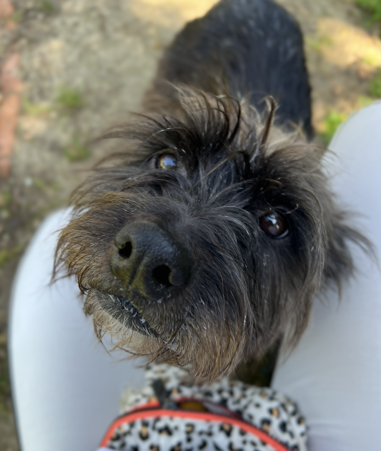 Screenshot 2026-03-12 at 9.33.54 PM.png