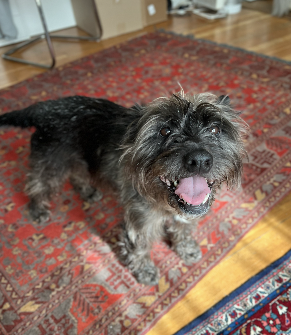 Screenshot 2026-03-12 at 9.34.12 PM.png