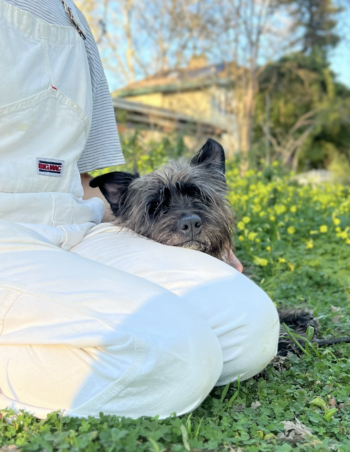 Screenshot 2026-03-12 at 9.33.41 PM.png