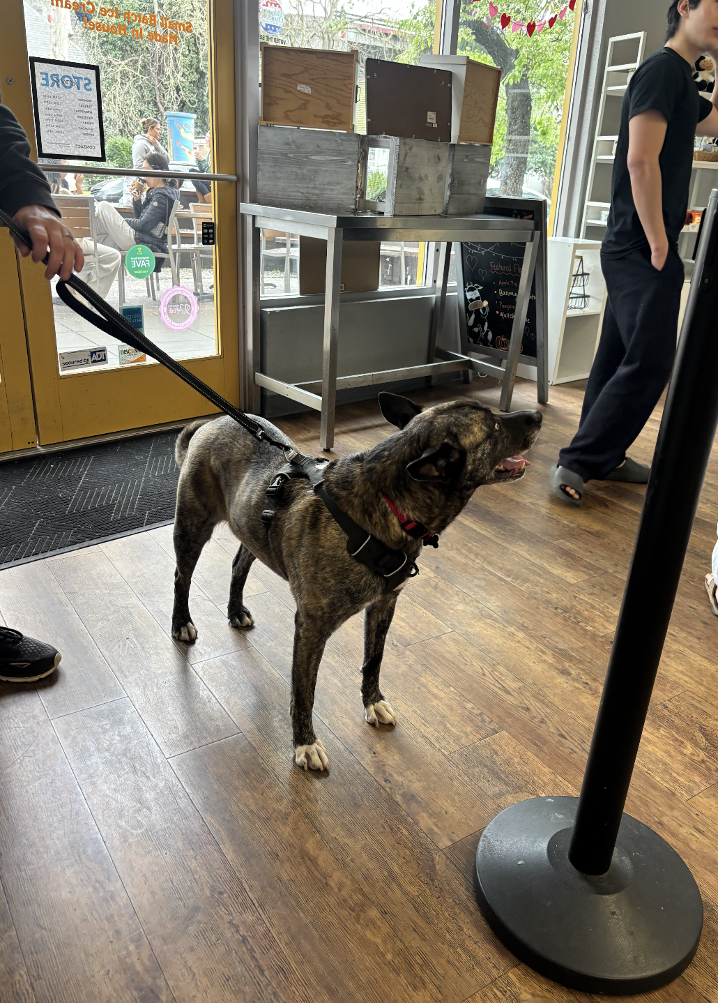 Screenshot 2026-03-12 at 9.57.15 PM.png