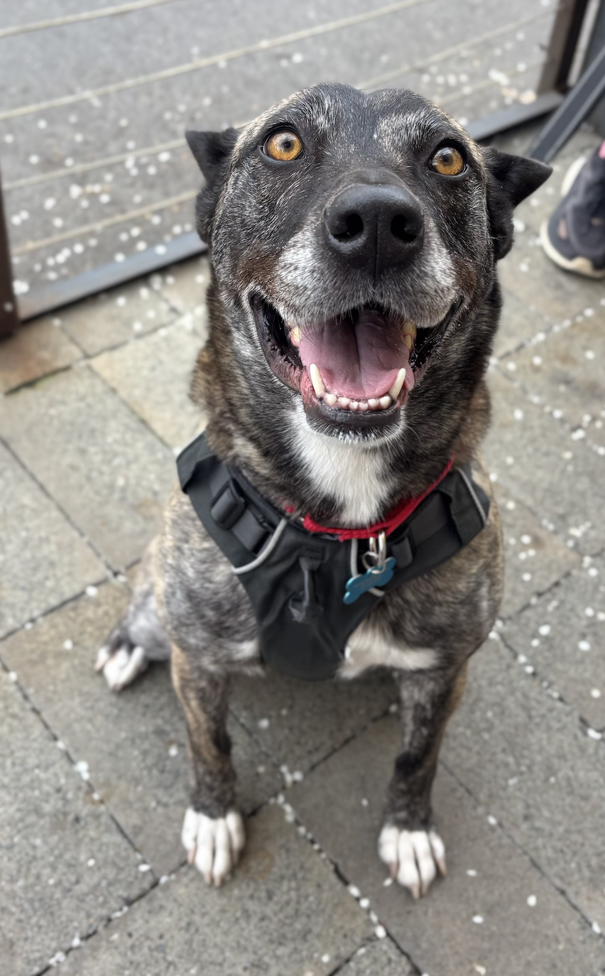 Screenshot 2026-03-12 at 9.57.32 PM.png