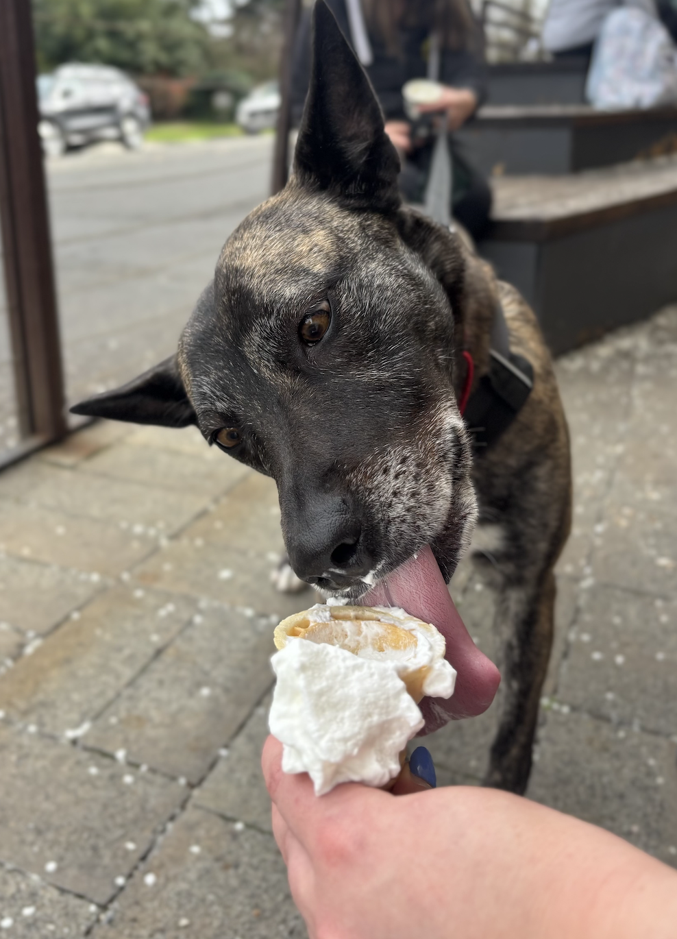 Screenshot 2026-03-12 at 9.57.19 PM.png