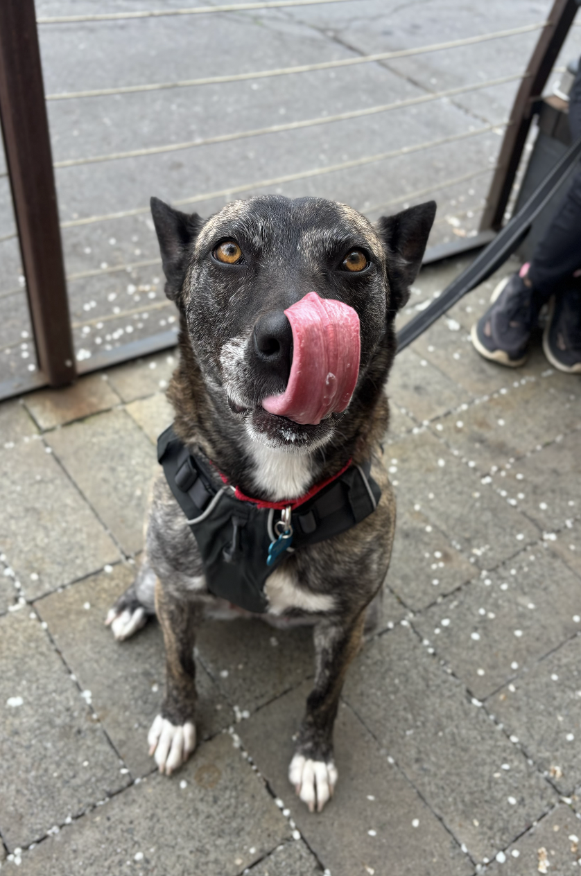 Screenshot 2026-03-12 at 9.57.28 PM.png