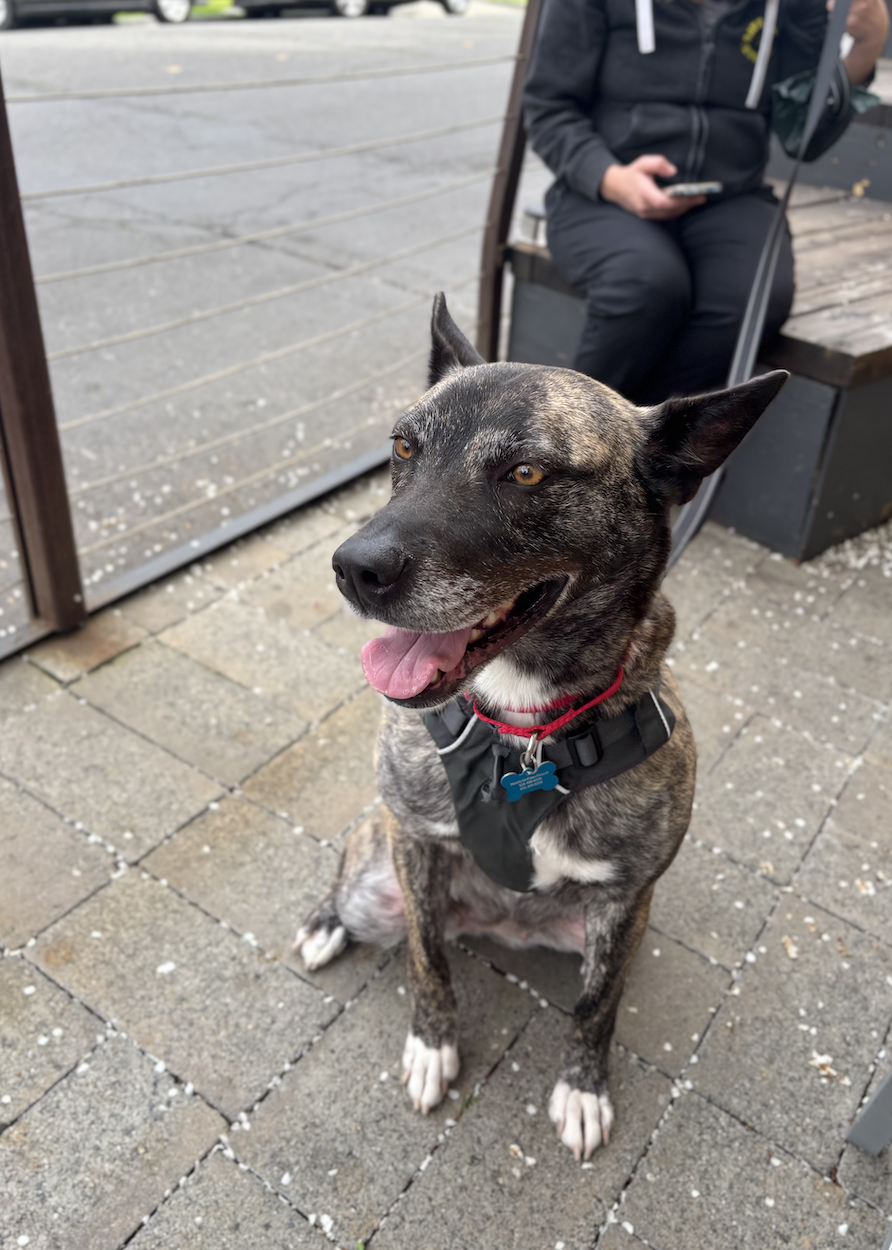 Screenshot 2026-03-12 at 9.57.39 PM.png