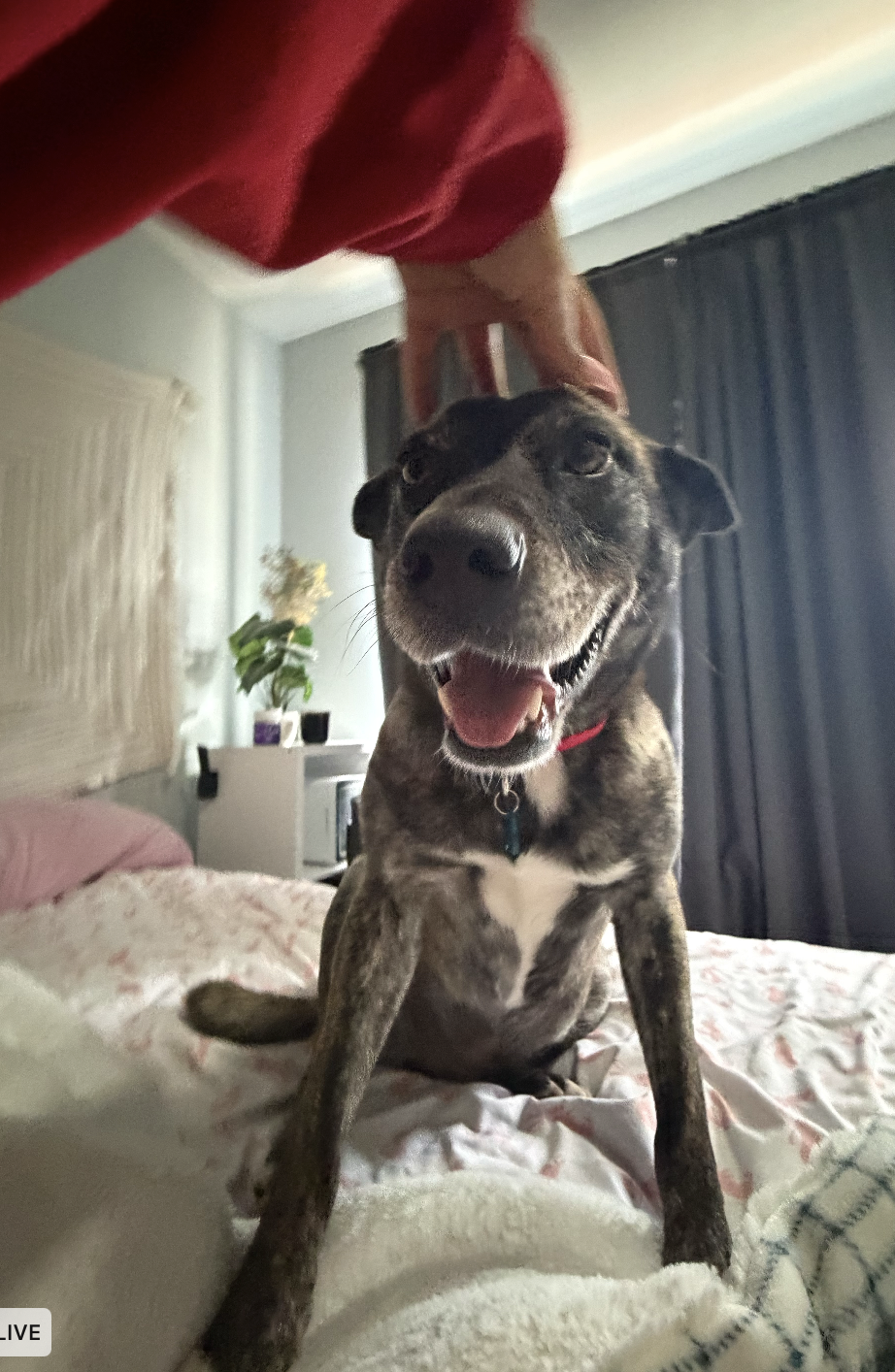 Screenshot 2026-03-12 at 9.57.24 PM.png