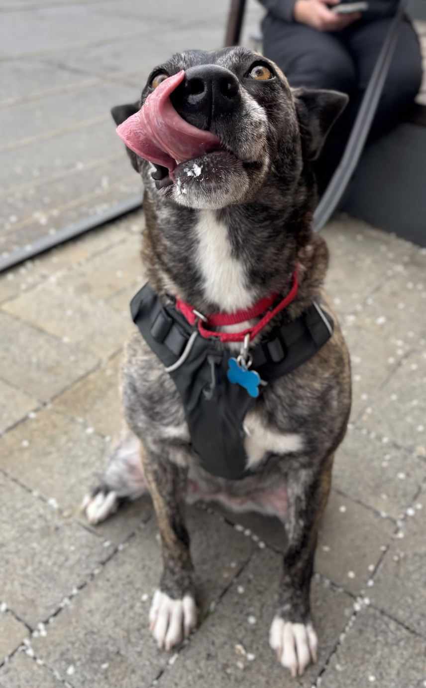 Screenshot 2026-03-12 at 9.57.44 PM.png