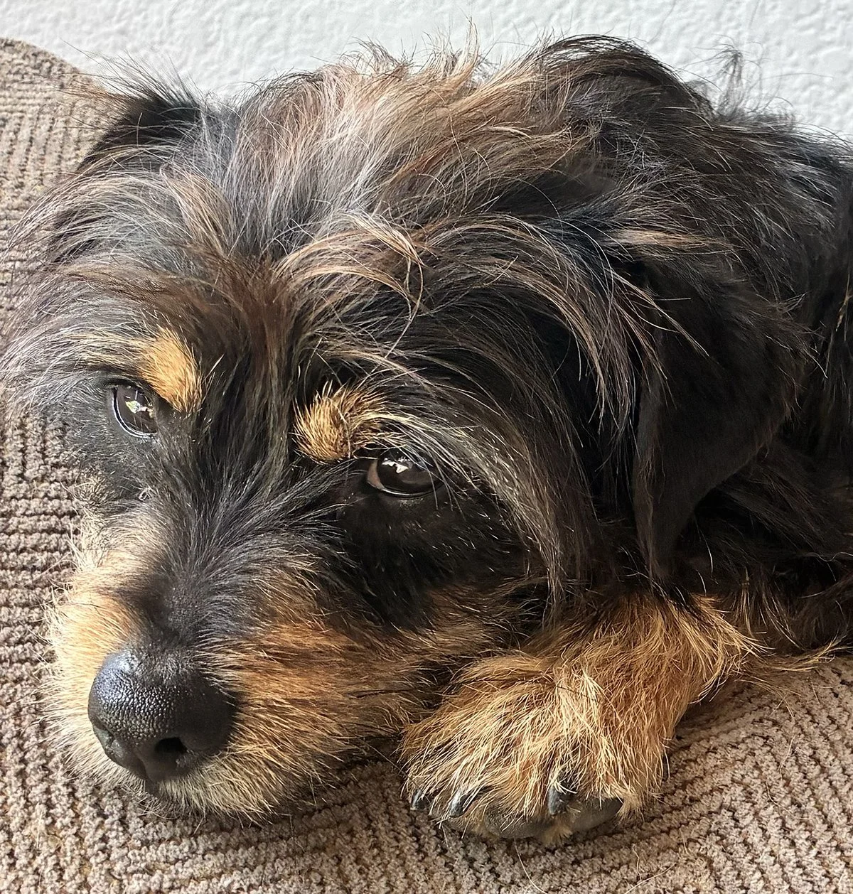 FullSizeRender 3.jpg