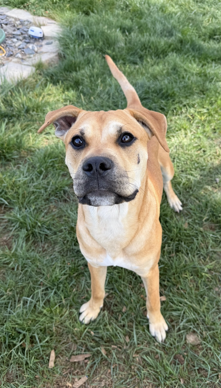 Screenshot 2026-03-22 at 10.06.49 AM.png