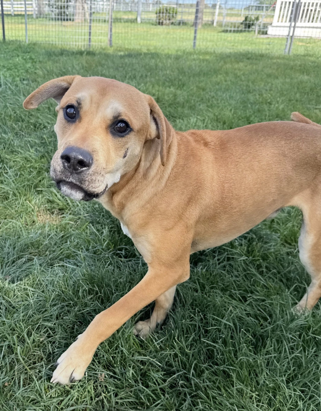 Screenshot 2026-03-22 at 10.06.45 AM.png