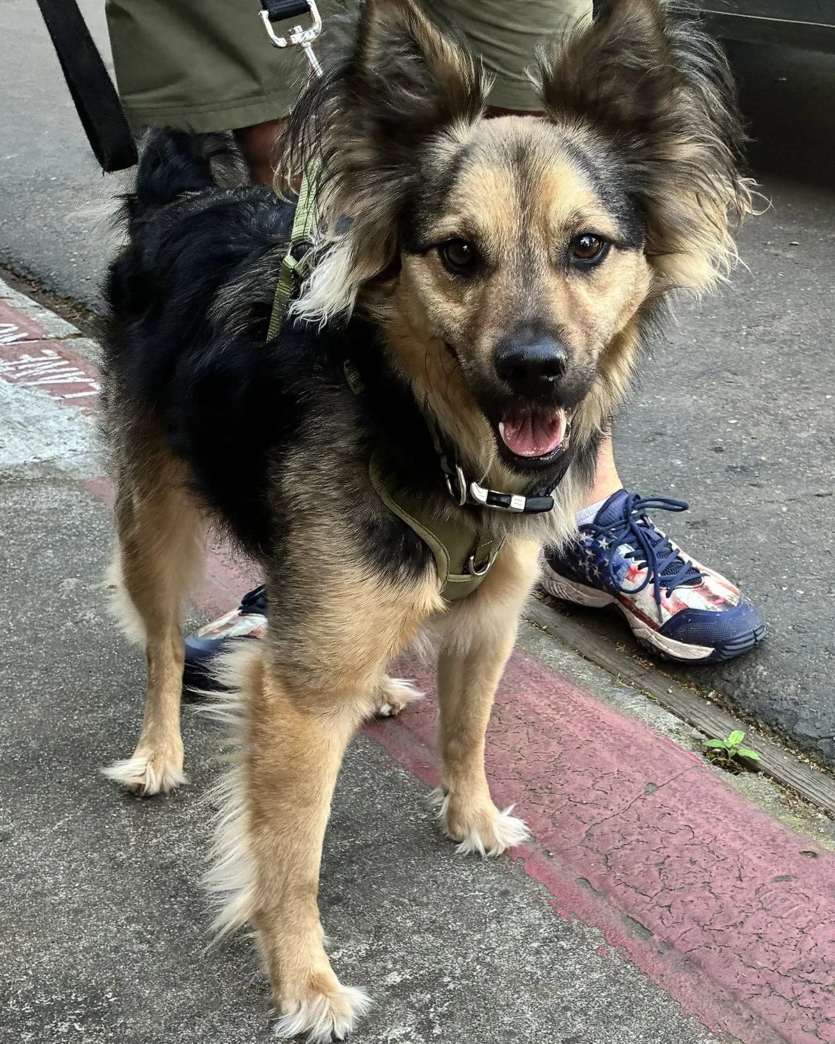 FullSizeRender 2.jpg