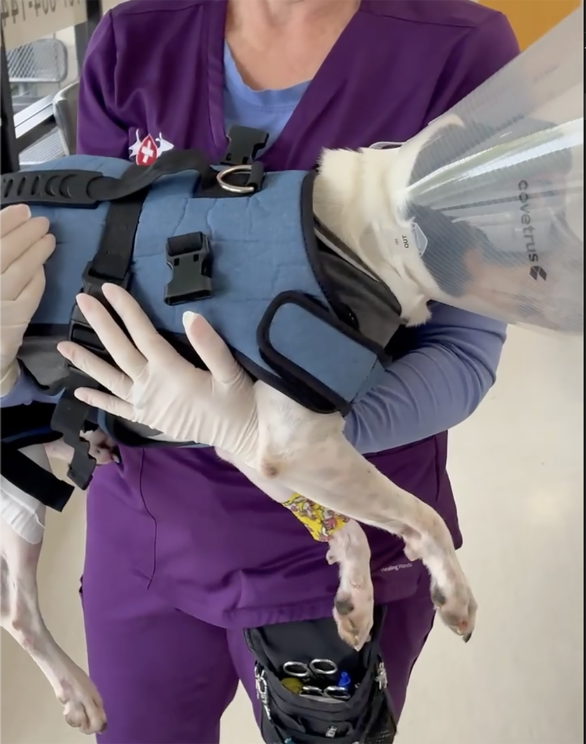 Screenshot 2026-04-03 at 11.24.01.png